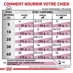 Royal Canin Veterinary diet dog Early renal - 12 sachets de 100 gr