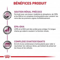 Royal Canin Veterinary diet dog Early renal - 12 sachets de 100 gr