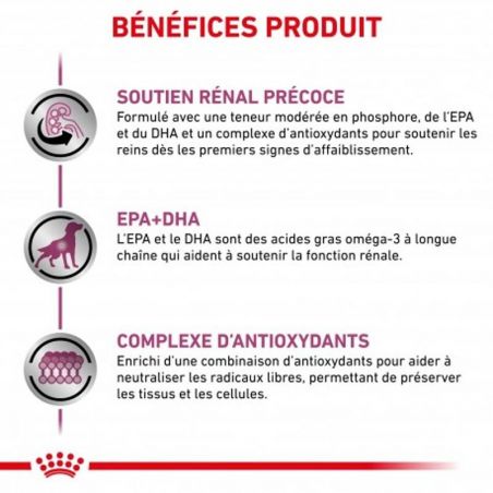 Royal Canin Veterinary diet dog Early renal Royal Canin Veterinary diet dog Early renal