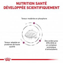 Royal Canin Veterinary diet dog Early renal