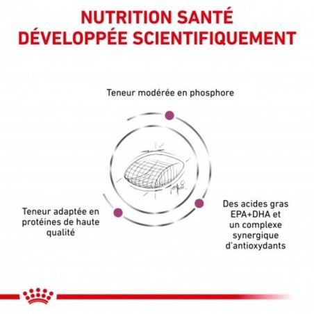 Royal Canin Veterinary diet dog Early renal Royal Canin Veterinary diet dog Early renal