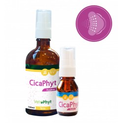 Cicaphyt Spray