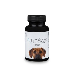 AminVast pour chiens  