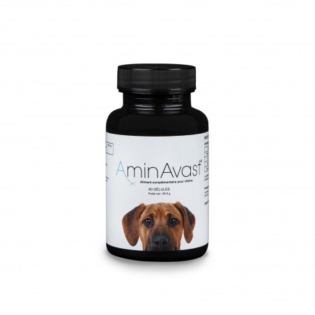AminVast pour chiens AminVast pour chiens