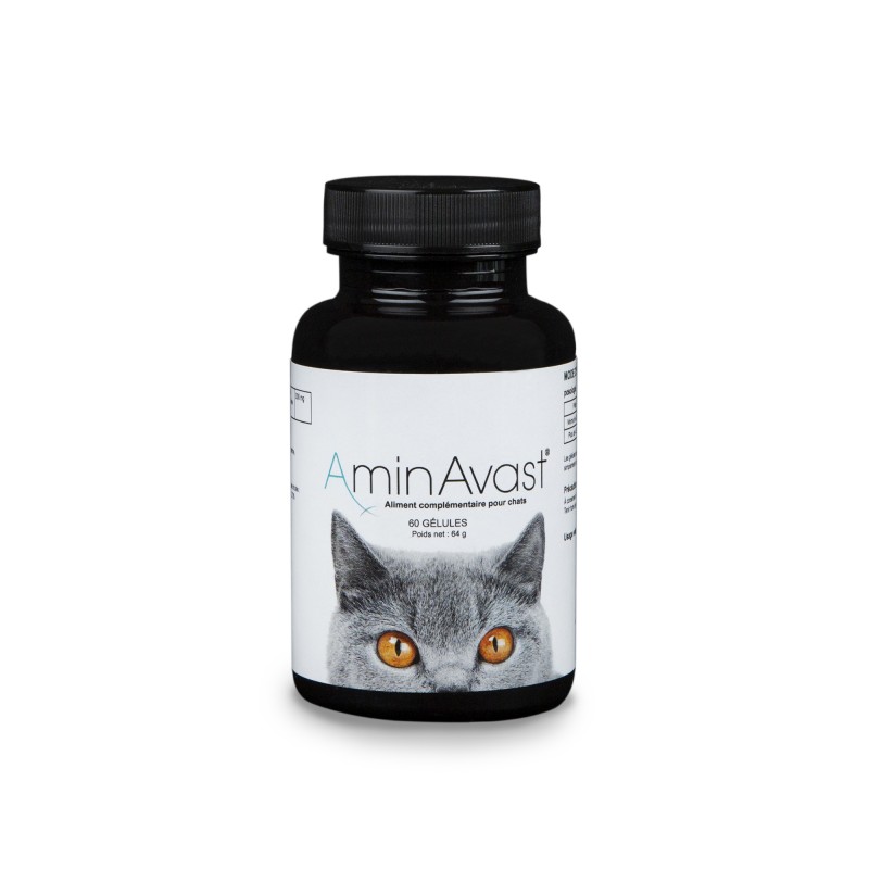 AminVast pour chats AminVast pour chats