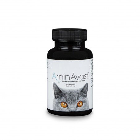 AminVast pour chats AminVast pour chats