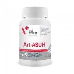 Art Asu S