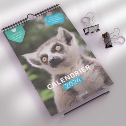 Calendrier JungleVet