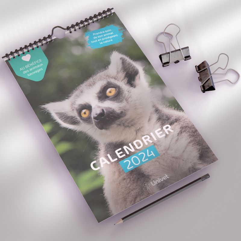 Calendrier caritatif Univet 2024 Calendrier caritatif Univet 2024