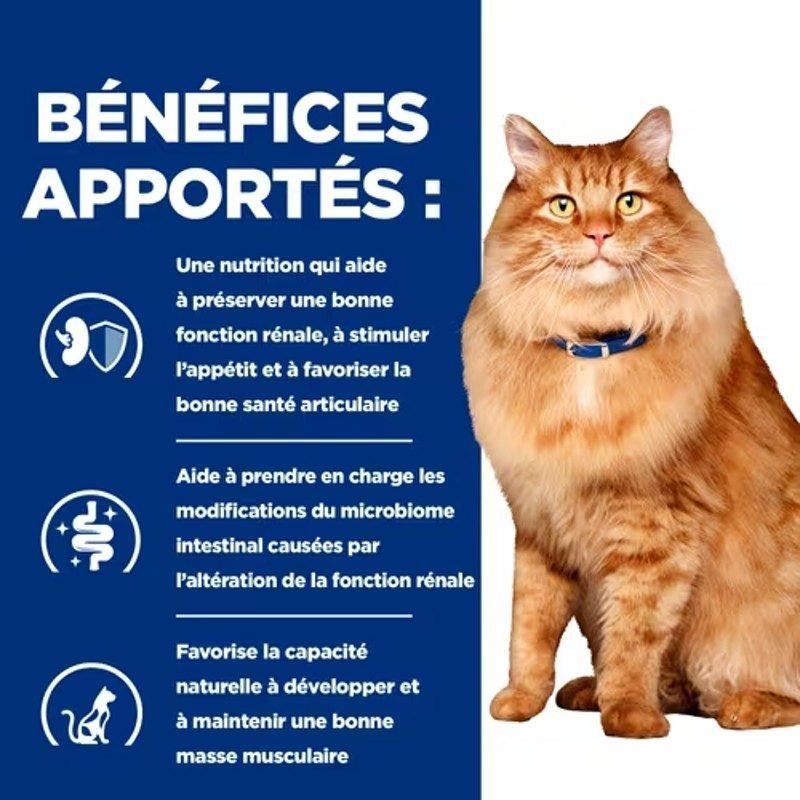 Hill's Prescription Diet Feline K/D J/D Kidney + Mobility mijotés poulet - 24 boîtes de 82 g Hill's Prescription Diet Feline K/D J/D Kidney + Mobility mijotés poulet - 24 boîtes de 82 g