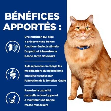 Hill's Prescription Diet Feline K/D J/D Kidney + Mobility mijotés poulet - 24 boîtes de 82 g Hill's Prescription Diet Feline K/D J/D Kidney + Mobility mijotés poulet - 24 boîtes de 82 g