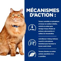 Hill's Prescription Diet Feline K/D J/D Kidney + Mobility mijotés poulet - 24 boîtes de 82 g