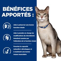 Hill's Prescription Diet k/d Kidney pour Chat au Boeuf - 12 sachets de 85 g