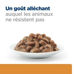 Hill's Prescription Diet K/D Kidney pour Chat au Saumon - 12 sachets de 85 g
