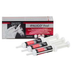 Equistro Ipaligo Foal