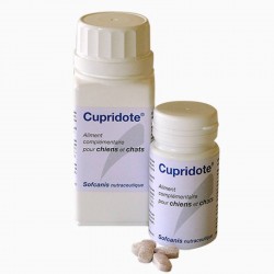 Cupridote