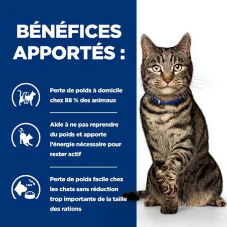 Hill's Prescription Diet Metabolic pour Chat au Poisson de l'océan 12 sachets de 85 g Hill's Prescription Diet Metabolic pour Chat au Poisson de l'océan 12 sachets de 85 g