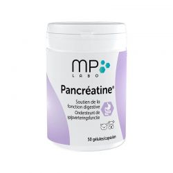 Pancréatine Flacon de 50 gélules