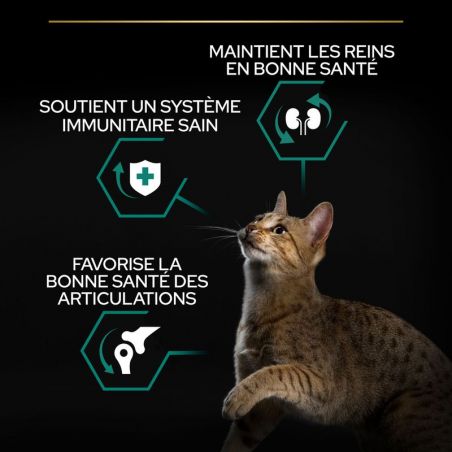 Purina Proplan Chat Adult Original OptiRenal au poulet Purina Proplan Chat Adult Original OptiRenal au poulet