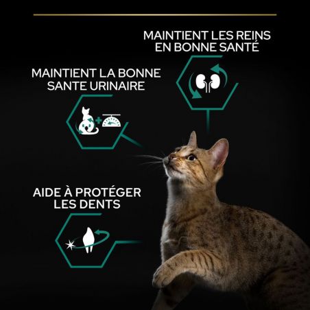 Purina Proplan Chat Sterilised OptiRenal au lapin Purina Proplan Chat Sterilised OptiRenal au lapin