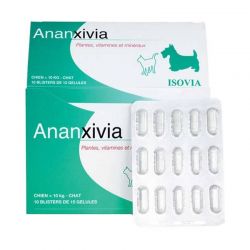 Ananxivia petits chiens et chats