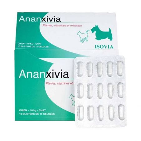 Ananxivia petits chiens et chats
