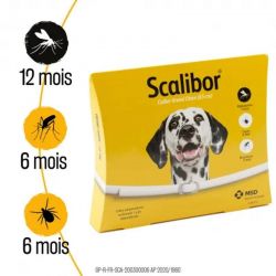 Collier scalibor grand chien