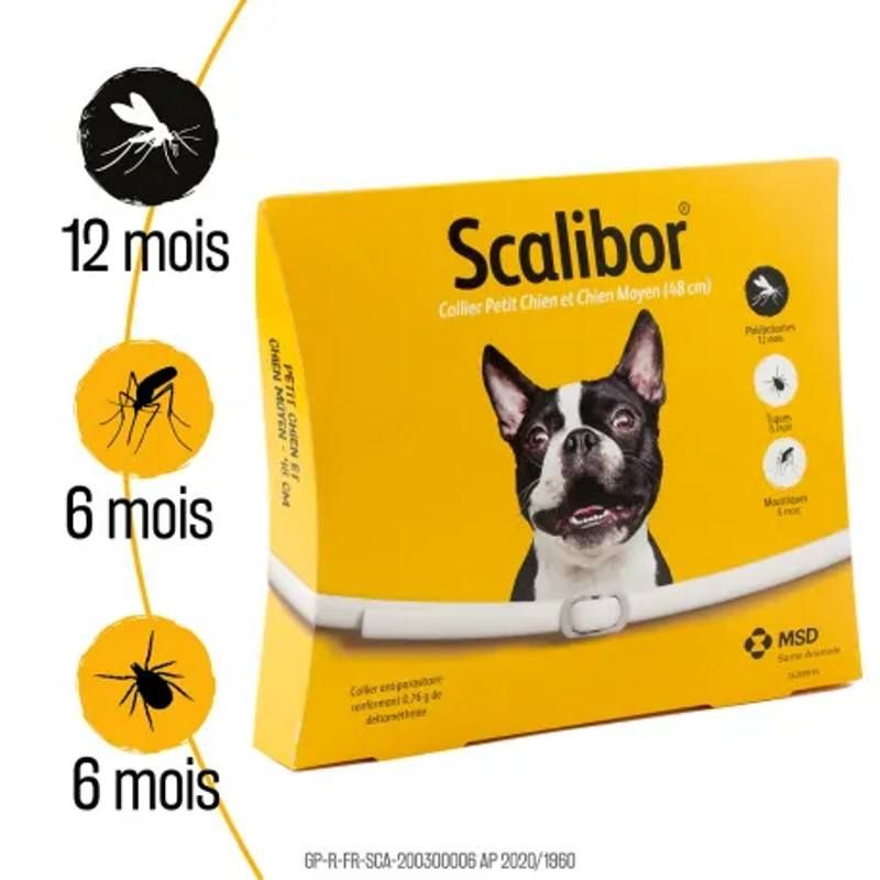 Collier Scalibor petit chien Collier Scalibor petit chien