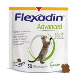 Flexadin Advanced Chat
