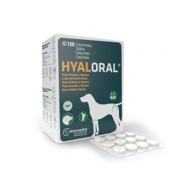Hyaloral Grandes Races et Races Géantes