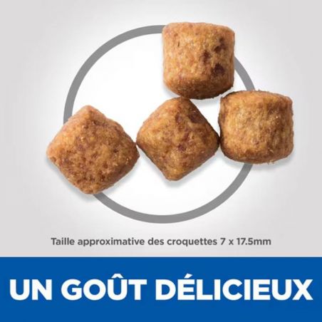 Hill's Science Plan Adult Mature 6+ Active Longevity Large Breed pour chien au poulet Hill's Science Plan Adult Mature 6+ Active Longevity Large Breed pour chien au poulet