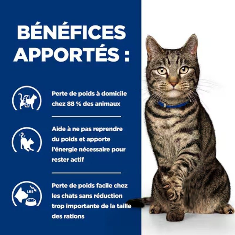 Hill's Prescription Diet Metabolic Mijotés Poulet & Légumes pour chat - 24 boîtes de 82 g Hill's Prescription Diet Metabolic Mijotés Poulet & Légumes pour chat - 24 boîtes de 82 g