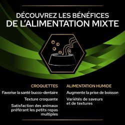 Purina Veterinary Diets Canine HA Hypoallergenic - 12 boîtes de 400 g