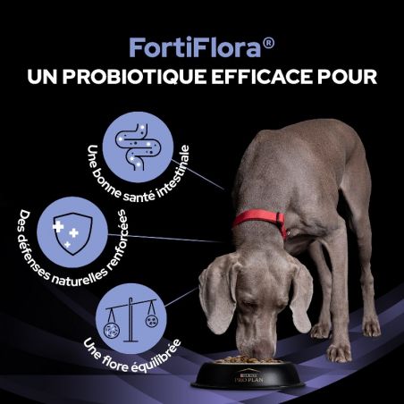 Pro Plan Fortiflora pour chien Pro Plan Fortiflora pour chien