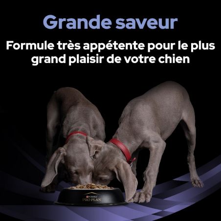 Pro Plan Fortiflora pour chien Pro Plan Fortiflora pour chien