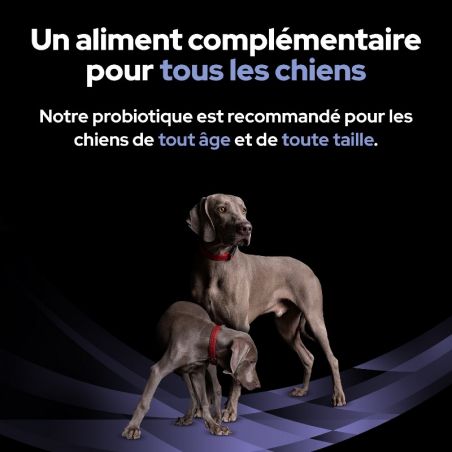 Pro Plan Fortiflora pour chien Pro Plan Fortiflora pour chien