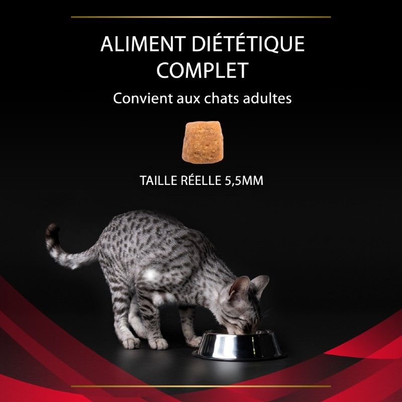 Purina Veterinary Diets Feline DM Stox Diabetes Management Purina Veterinary Diets Feline DM Stox Diabetes Management