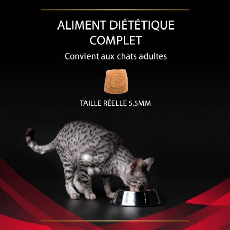 Purina Veterinary Diets Feline DM Stox Diabetes Management Purina Veterinary Diets Feline DM Stox Diabetes Management