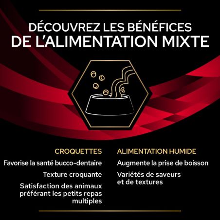 Purina Veterinary Diets Feline DM Stox Diabetes Management Bœuf 10 x 85 g Purina Veterinary Diets Feline DM Stox Diabetes Management Bœuf 10 x 85 g
