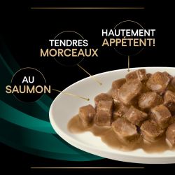 Purina Veterinary Diets Feline EN St/Ox Gastrointestinal Saumon 10 x 85 g