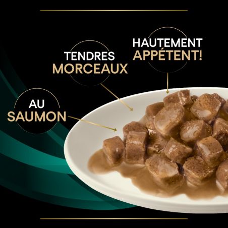 Purina Veterinary Diets Feline EN St/Ox Gastrointestinal Saumon 10 x 85 g Purina Veterinary Diets Feline EN St/Ox Gastrointestinal Saumon 10 x 85 g