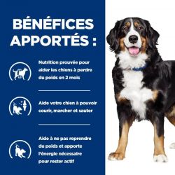 Hill's Prescription Diet Metabolic + Mobility pour chien au Poulet - 12 boîtes de 370 g