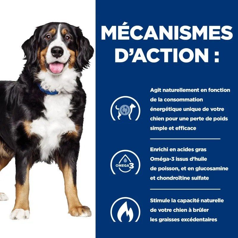 Hill's Prescription Diet Metabolic + Mobility pour chien au Poulet - 12 boîtes de 370 g Hill's Prescription Diet Metabolic + Mobility pour chien au Poulet - 12 boîtes de 370 g