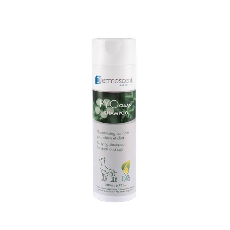 Dermoscent PYOclean Shampooing Flacon de 200 ml