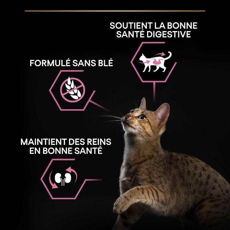 Purina Proplan Chat Delicate OptiDigest à la dinde Purina Proplan Chat Delicate OptiDigest à la dinde