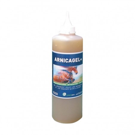 Arnicagel+ pour chevaux - JungleVet Arnicagel+ pour chevaux - JungleVet
