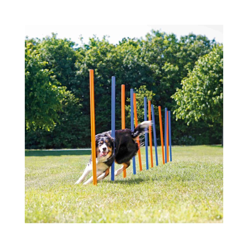 Trixie Barres de Slalom Fun Agility - JungleVet