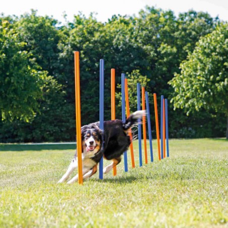 Trixie Barres de Slalom Fun Agility - JungleVet