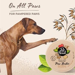 Pet Heads On All Paws pour chien et chat - JungleVet