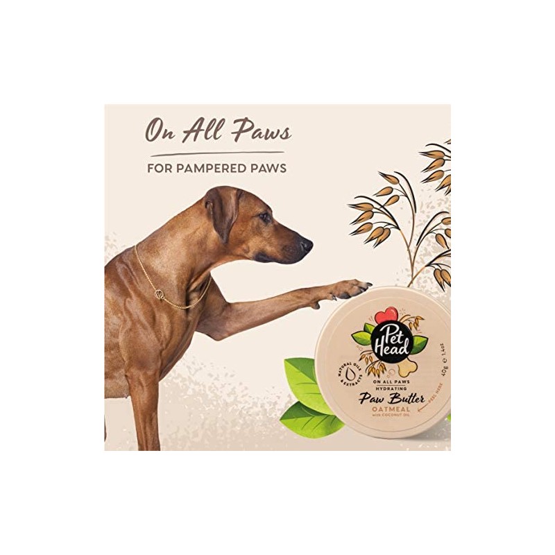 Pet Heads On All Paws pour chien et chat - JungleVet Pet Heads On All Paws pour chien et chat - JungleVet